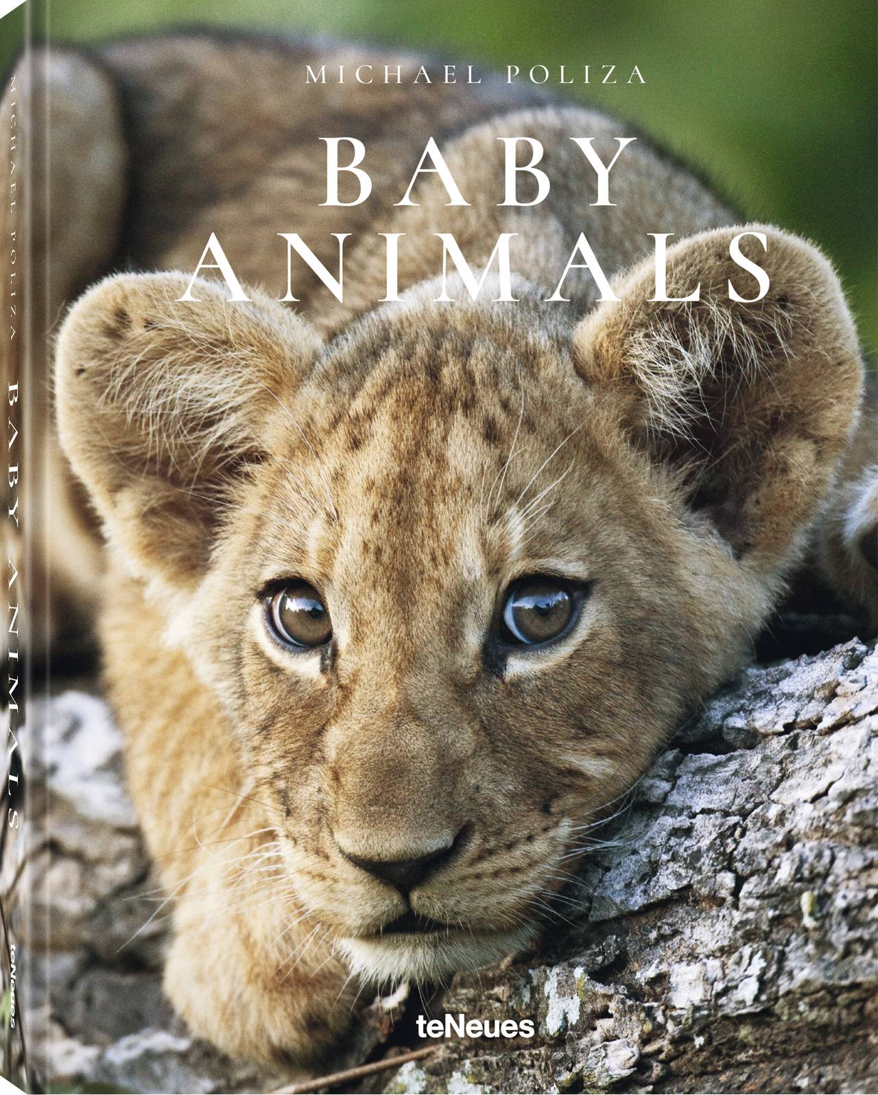 Baby Animals by Michael Poliza illustrated book cover